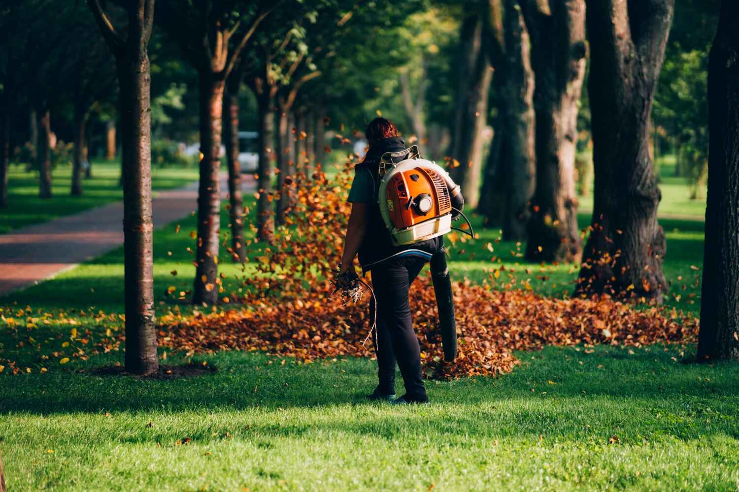 Inkster, MI Tree Service Company